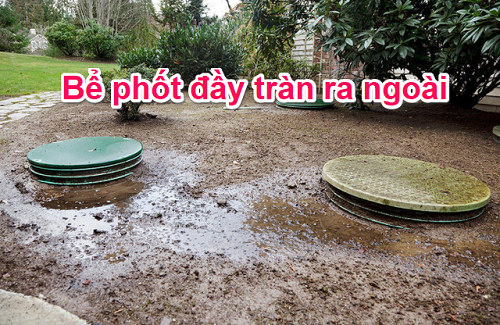 tràn bể phốt