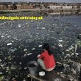 ô nhiễm nguồn nước